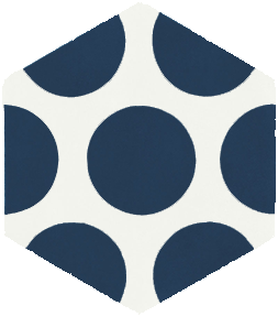 MFC15 1 bleu