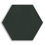 T20-31