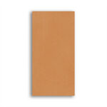 T20-24 (Copie) (Copie)